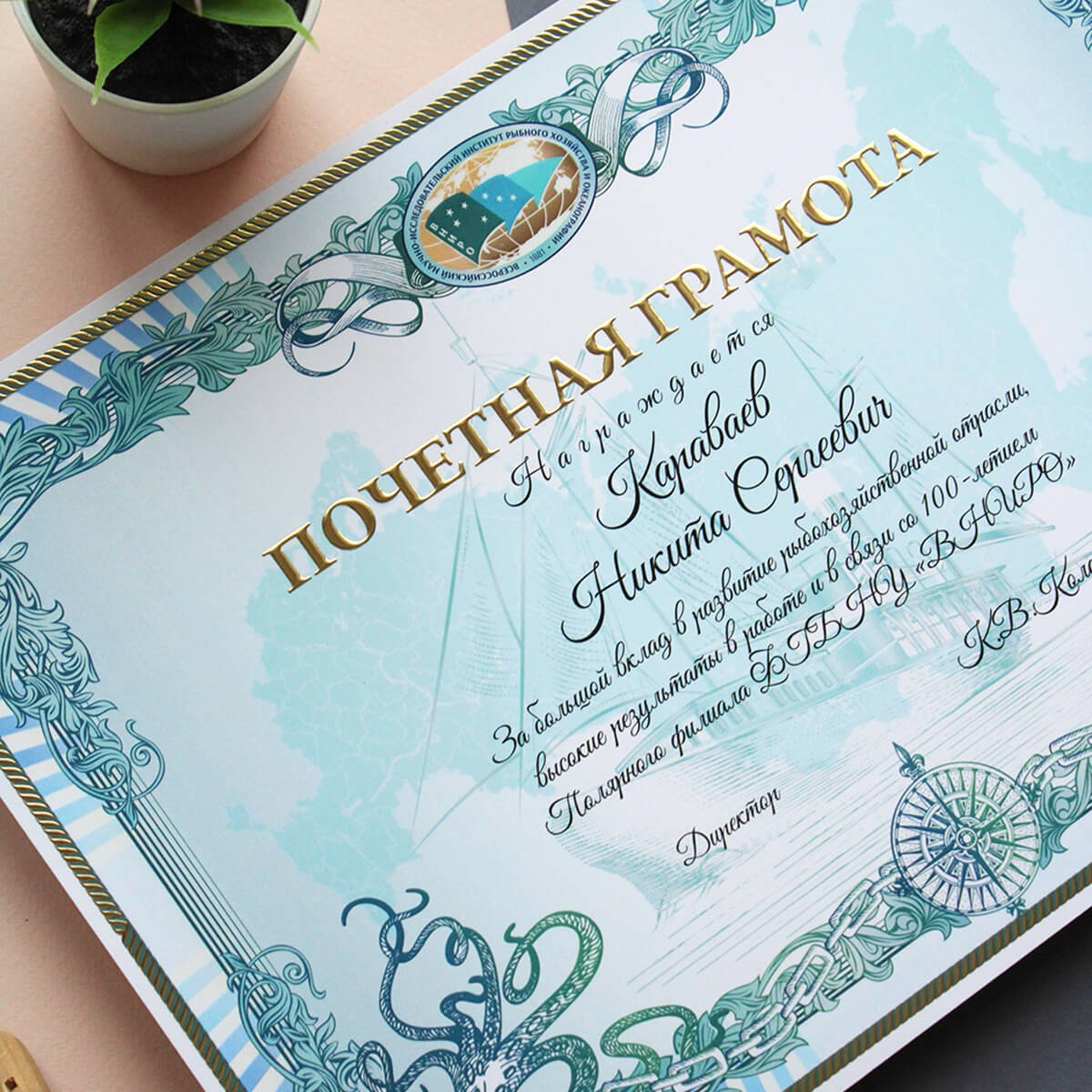 Дипломы и грамоты - 1