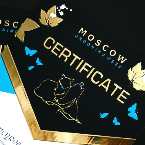 Печать сертификатов на заказ - 6