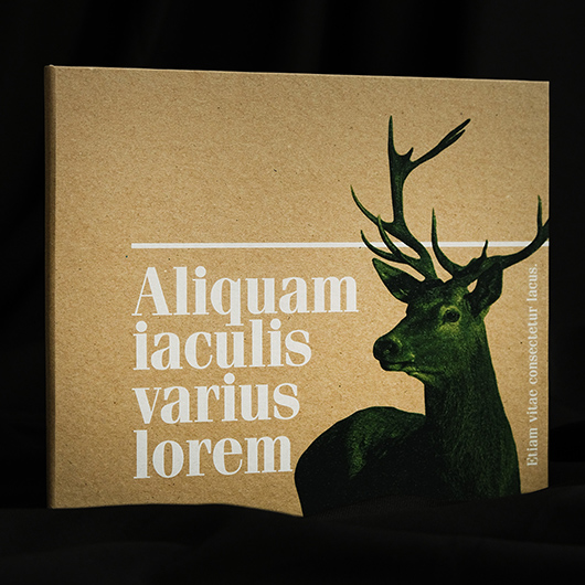 Каталог с креплением на скрытые болты